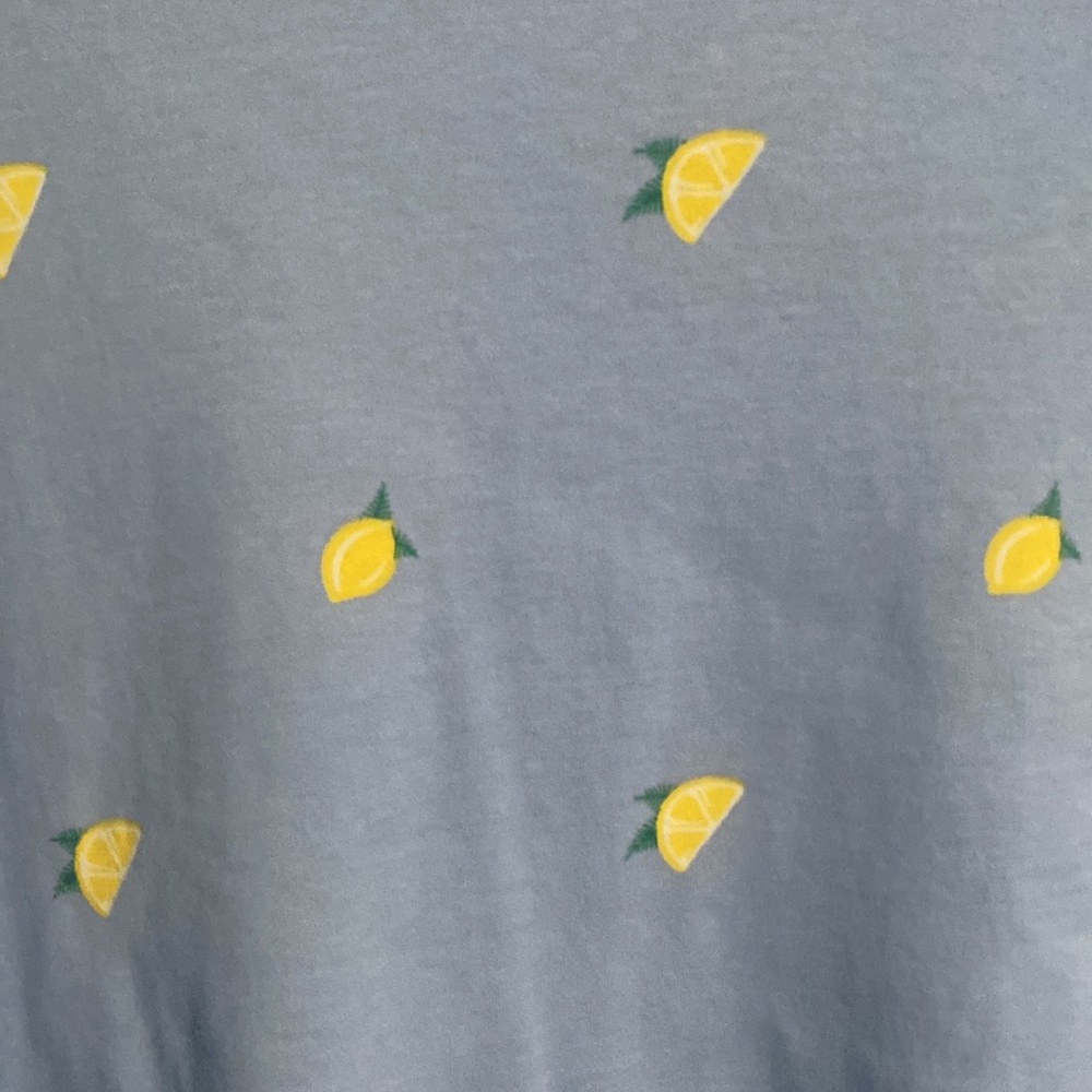 Kim Rogers  blue tshirt Lemon  print top. Size 1X. Womens - Picture 2 of 3
